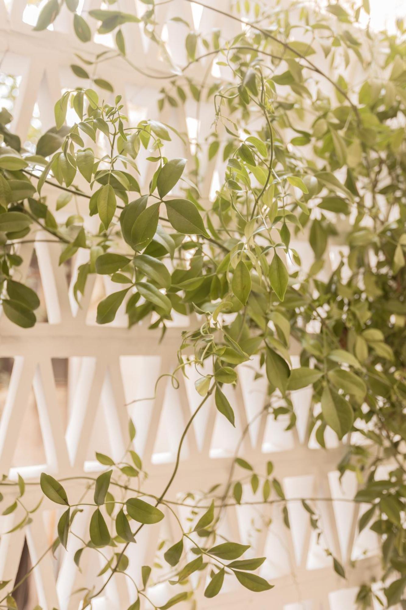 Elegant Apartment A Breath Away From The Acropolis Athen Exterior foto